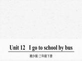 湘少版英语三年级下册Unit 12优质课件