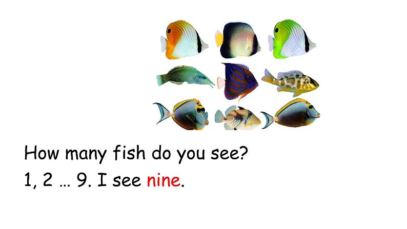 PEP小学英语三年级下册 unit 6   B Let's learn&Let's chant 课件+素材06