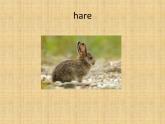 六年級(jí)下冊(cè)英語(yǔ)課件-Module 1 Stories Unit 1 Slow and steady wins the race 1-教科版（廣州深圳）