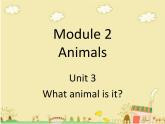 六年级下册英语课件-Module 2 Animals Unit 3 What animal is it 2-教科版（广州深圳）