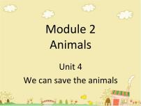 英语六年级下册Module 2 AnimalsUnit 4 We can save the animals背景图ppt课件