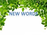 六年級(jí)下冊(cè)英語課件-Module 2 Animals Unit 4 We can save the animals 2-教科版（廣州深圳）