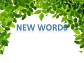 六年级下册英语课件-Module 5 Travel abroad Unit 9 Where will you go 2-教科版（广州深圳）