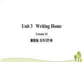 冀教版五年級(jí)下冊(cè)英語(yǔ)Lesson 14優(yōu)質(zhì)課件