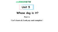 小学英语人教版 (PEP)五年级下册Unit 5 Whose dog is it? Part A优质ppt课件