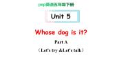 英语Unit 5 Whose dog is it? Part A优秀课件ppt
