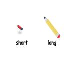 PEP小学英语六年级下册  Unit  1  How tall are you  part A Let's learn&Do a survey and report   ppt课件+教学教案