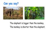 PEP小学英语六年级下册  Unit  1  How tall are you A Let's try&Let's talk     ppt课件+教学教案