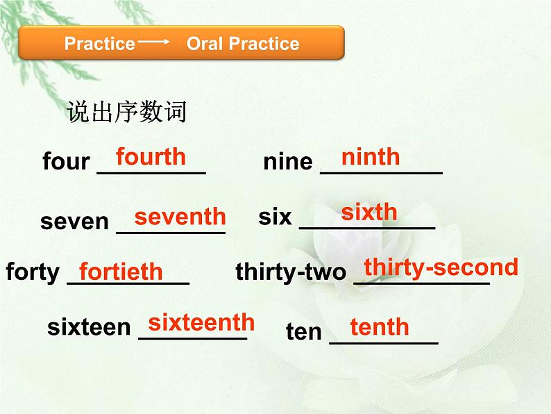 小学语法训练-U8基数词和序数词 课件08