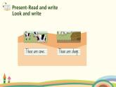 6.人教pep版-四下unit4-partB-Read and write & Let's check & Let's sing 精品PPT课件