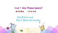 陕旅版Unit 7 Are these bears?多媒体教学课件ppt