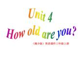 湘少版英语三年级下册Unit 4 How old are you课件