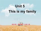 湘少版英语三年级下册 Unit 5 This is my family课件2