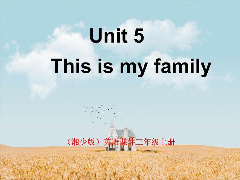 湘少版英语三年级下册 Unit 5 This is my family课件2第1页