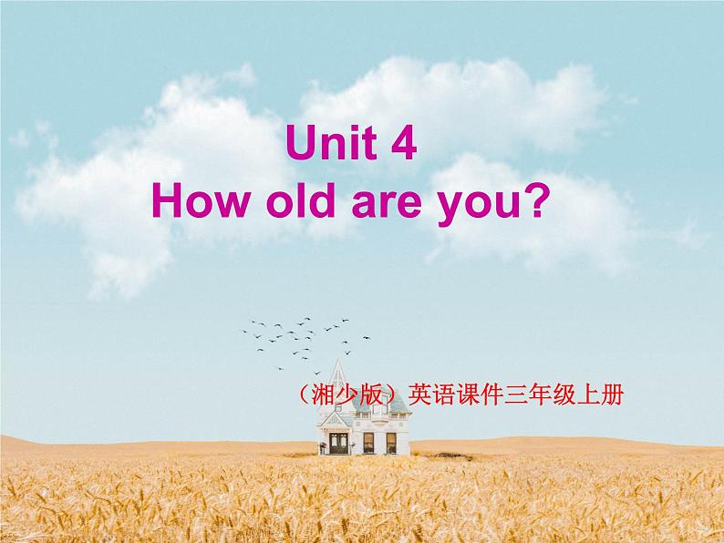 湘少版英语三年级下册Unit 4 How old are you课件2第1页