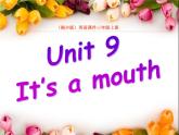 湘少版英语三年级下册 Unit 9 It's a mouth课件