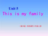 湘少版英语三年级下册 Unit 5 This is my family课件1
