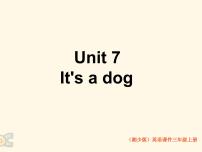 英语三年级上册Unit 7 it's a dog备课课件ppt