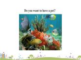 湘少版英語五年級上冊 Unit 5  Can I have a pet PPT課件+素材