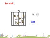 湘少版英語五年級上冊 Unit 5  Can I have a pet PPT課件+素材
