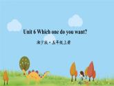 湘少版英語五年級上冊 Unit 6 Which one do you want PPT課件+素材