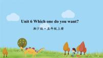 小学英语湘少版五年级上册Unit 6 Which one do you want?课文配套课件ppt