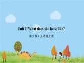 湘少版英语五年级上册 Unit 1 What does she look like PPT课件+素材