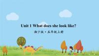 小学英语湘少版五年级上册Unit 1 What does she look like?教学演示课件ppt