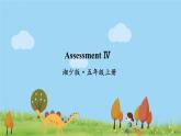 湘少版英語五年級上冊 Assessment Ⅳ PPT課件+素材