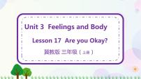 冀教版 (三年级起点)三年级上册Unit 3 Body and FeelingsLesson 17 Are You Okay?优秀ppt课件