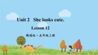 英语五年级上册Lesson 12背景图课件ppt