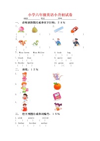 六年级英语下册 小升初试卷（人教新起点）