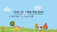 小学英语湘少版三年级上册Unit 11 I like the bird教课课件ppt