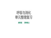 《呼吸与消化》单元整理课件
