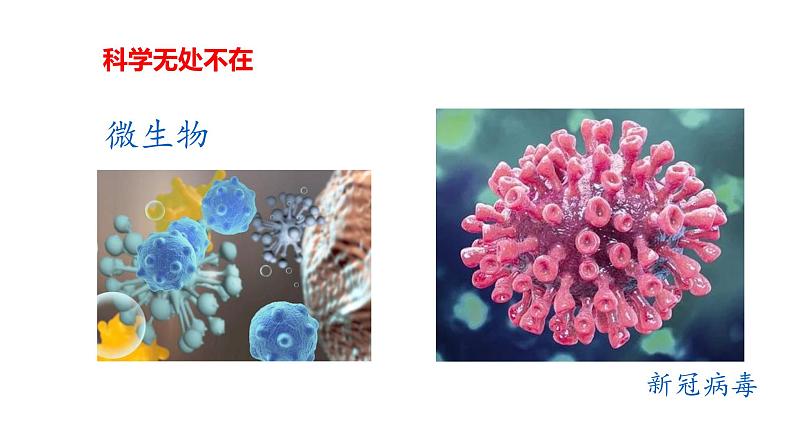 一上科学开学始业课 课件第8页