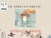 教科版（2017）3年级上册科学  空气《空气能占据空间吗》课件