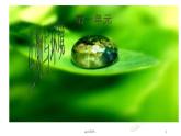 五年級上冊科學全冊ppt課件