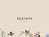 教科版四年级上册科学呼吸与消化《感受我们的呼吸》课件