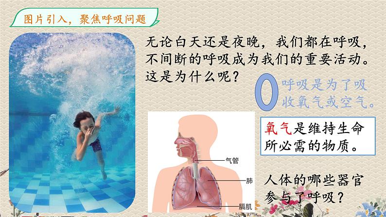 教科版四年级上册科学呼吸与消化《感受我们的呼吸》课件第2页