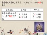 教科版四年级上册科学呼吸与消化《感受我们的呼吸》课件