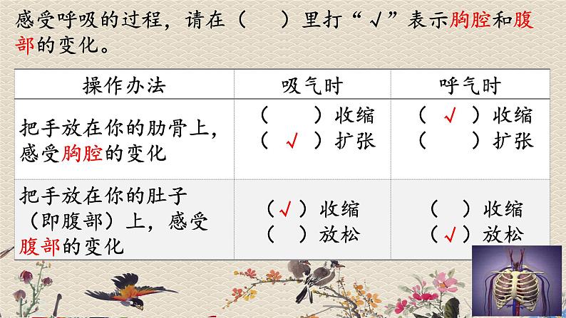 教科版四年级上册科学呼吸与消化《感受我们的呼吸》课件第7页