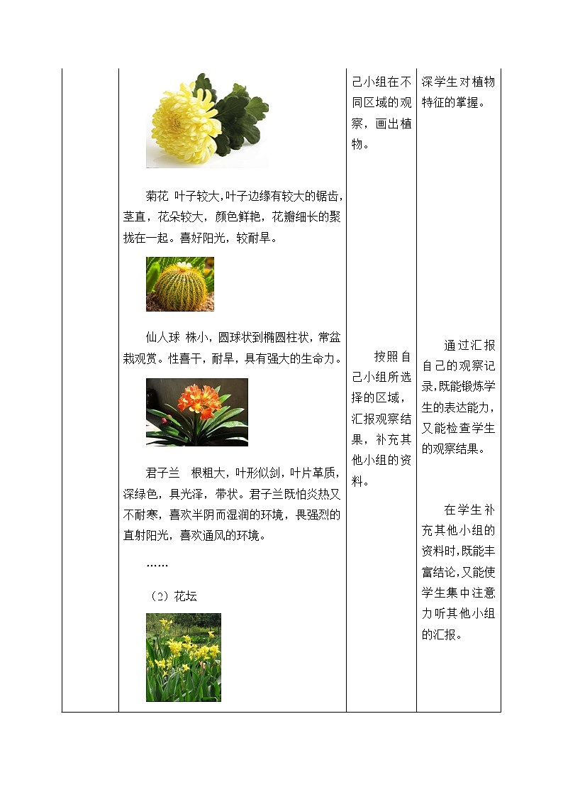 教科版（2017秋）一年级上册校园里的植物_教案03