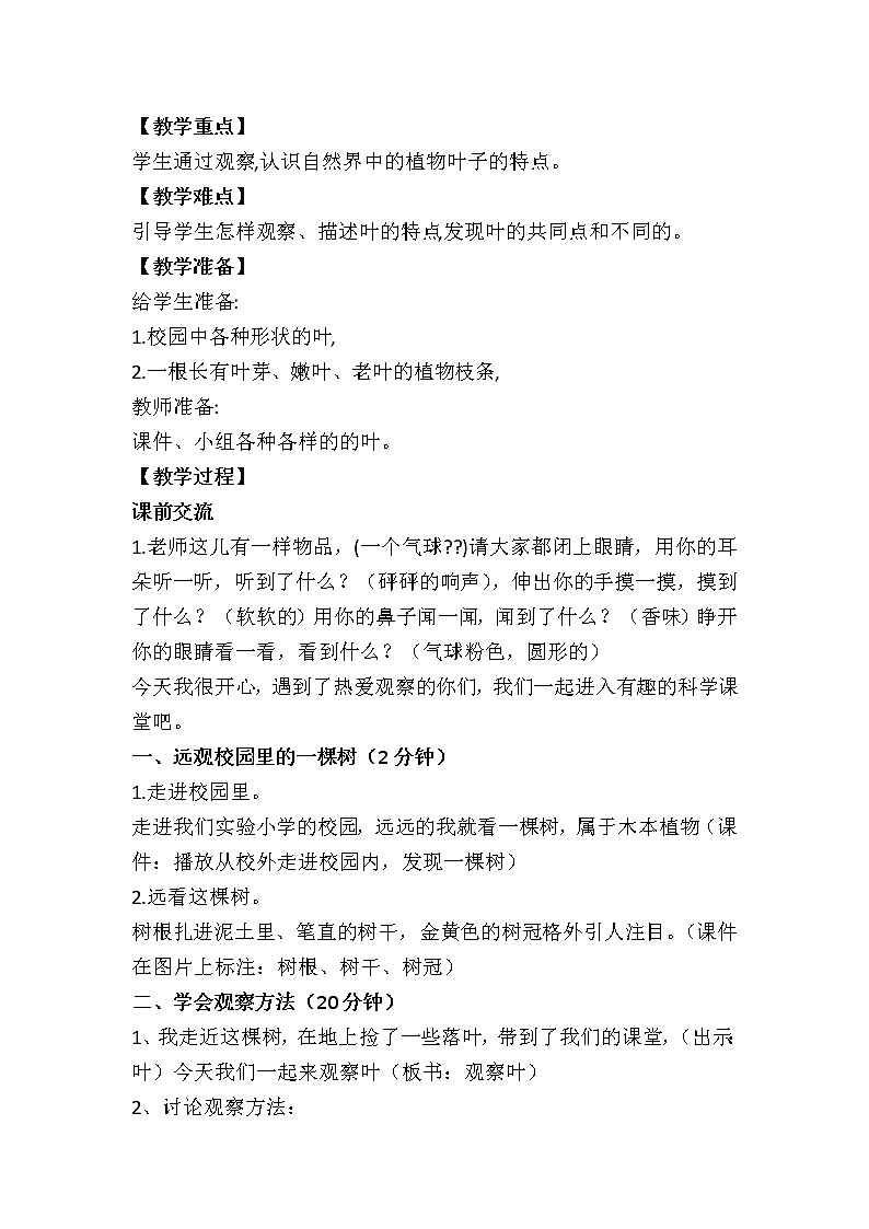 教科版（2017秋）一年级上册3.观察叶(1)教案02