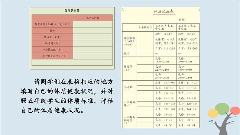 教科版五年级上册4.1《我们的身体》课件+教案05