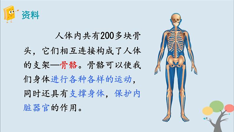 教科版五年级上册4.2《身体的运动》课件+教案+素材04