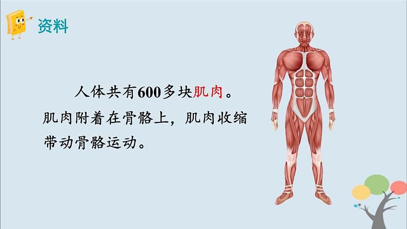 教科版五年级上册4.2《身体的运动》课件+教案+素材06