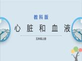 教科版五年級上冊4.3《心臟和血液》課件+教案