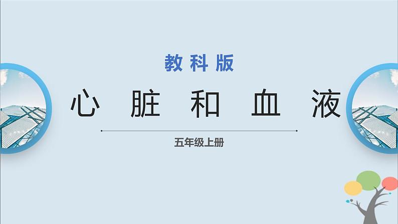 教科版五年级上册4.3《心脏和血液》课件+教案01