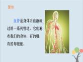 教科版五年級上冊4.3《心臟和血液》課件+教案