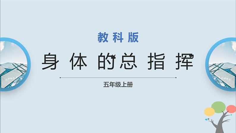 教科版五年级上册4.4《身体的“总指挥”》课件+教案01